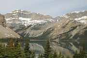 48 - Bow Lake  - IMG_0888